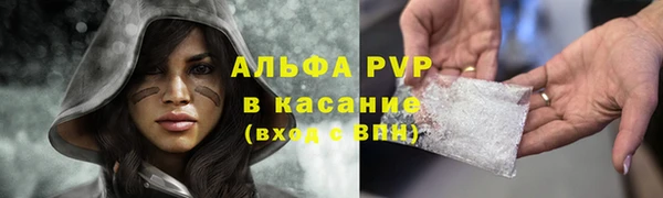 стаф Лабытнанги