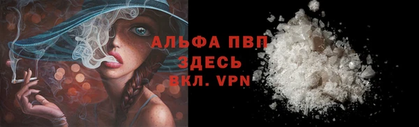 мдпв Ладушкин