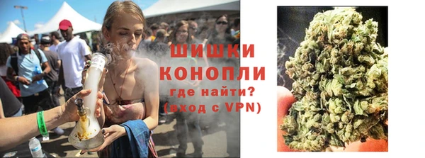 мдпв Ладушкин