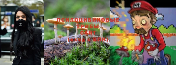 стаф Лабытнанги