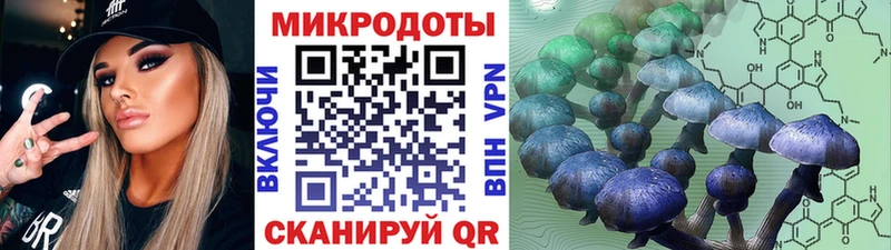 KRAKEN tor  где купить наркоту  Цоци-Юрт  Галлюциногенные грибы Magic Shrooms 
