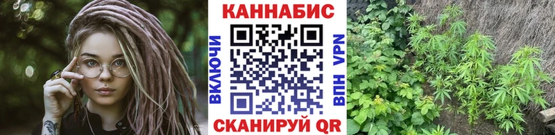 Канабис конопля  цена   Цоци-Юрт 